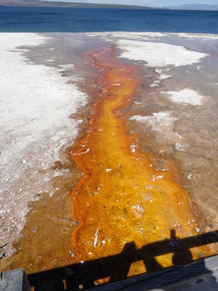 Yellowstone National Park