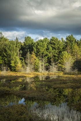 Acadia National Park