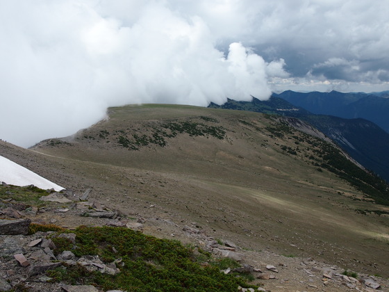 Mt Rainier National Park