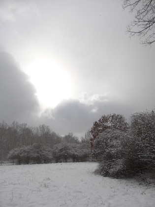 Cuyahoga Valley/Boston Run