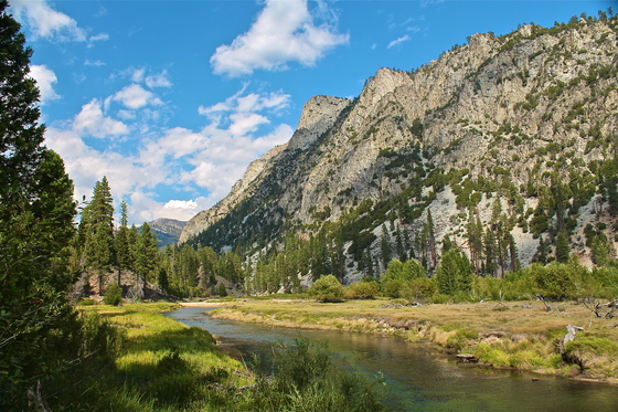Golden Trout Wilderness
