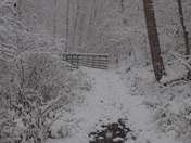 Cuyahoga Valley/Boston Run