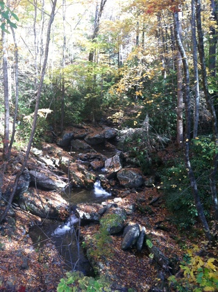 smoky mountain national park