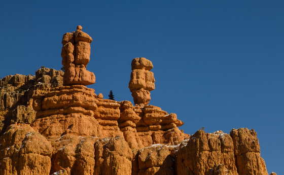Dixie National Forest, Utah