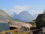 Glacier National Park