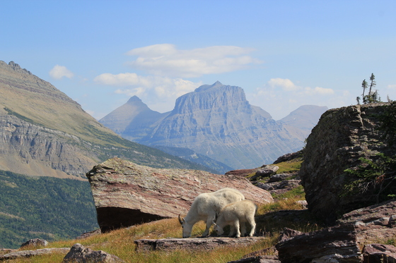 Glacier National Park