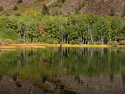 Inyo National Forest