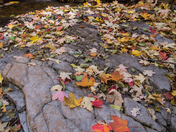 Tonto National Forest