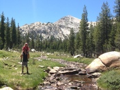Yosemite National Forest
