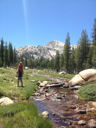 Yosemite National Forest