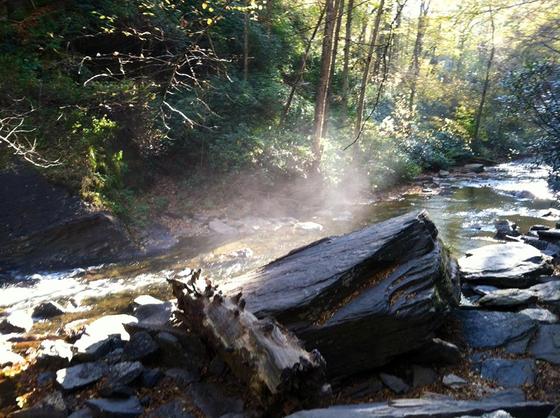 Pisgah Forest