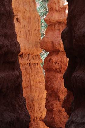 Bryce