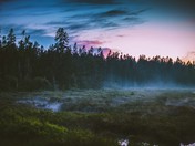 Acadia National Park