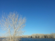Bosque del Apache National Wildlife Refuge