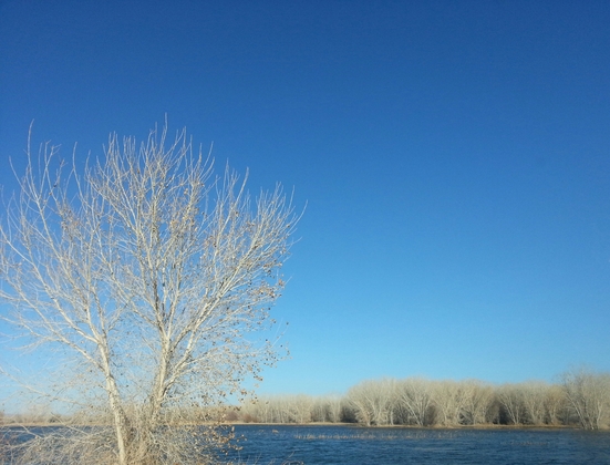 Bosque del Apache National Wildlife Refuge