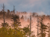 Great Smoky National Park