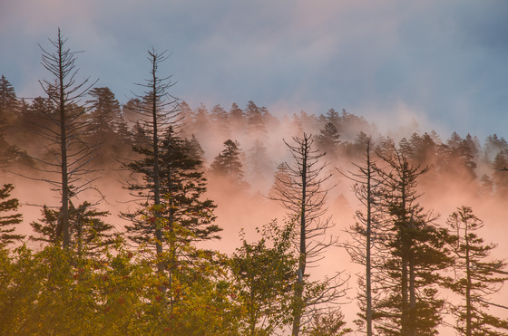 Great Smoky National Park