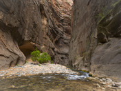 Zion National Park