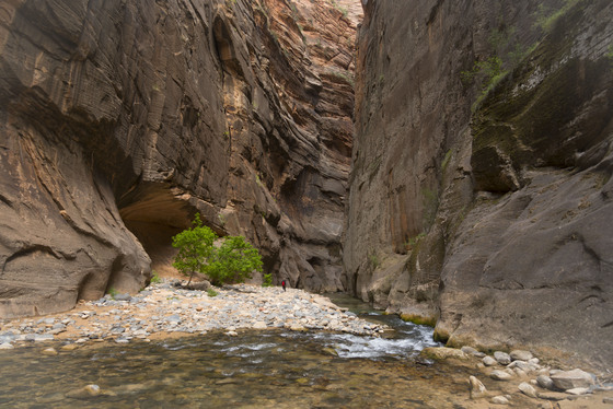 Zion National Park