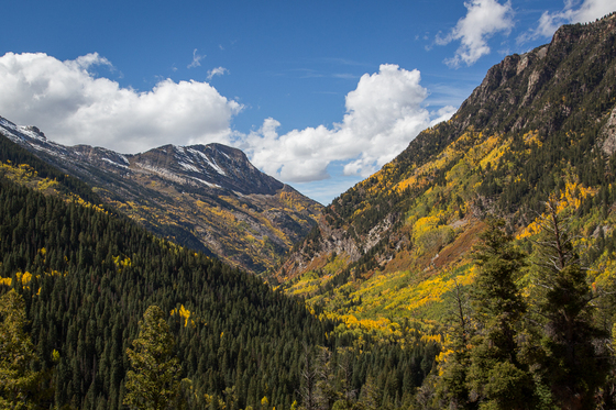 White River National Forest