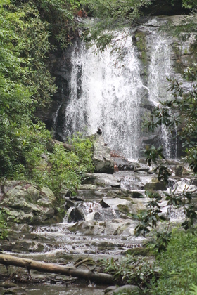 Great Smoky Mountain National Park