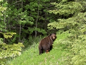 Glacier National Park