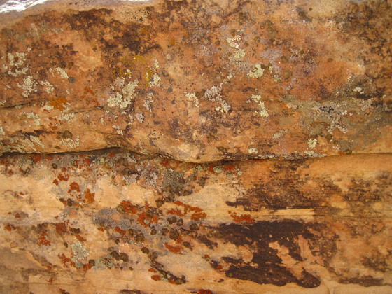 Red Rock Canyon National Conservation Area