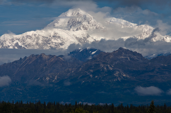 Denali National Park