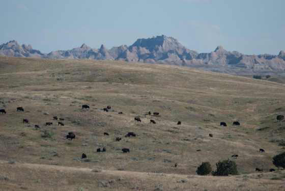 Badlands