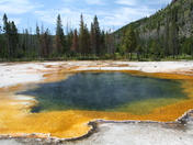 Yellowstone National Park