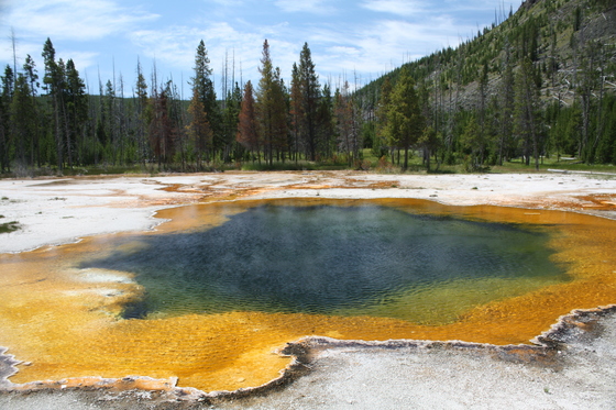 Yellowstone National Park