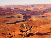 CANYONLANDS