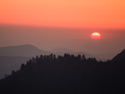Sequoia National Park