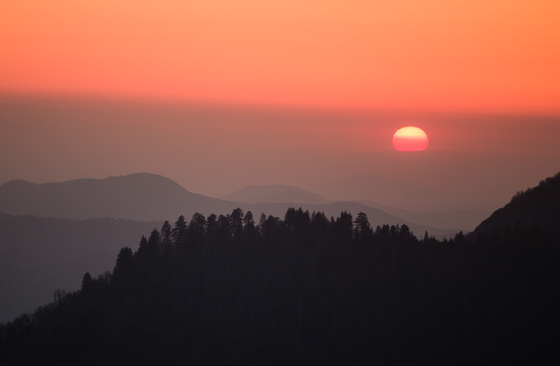 Sequoia National Park