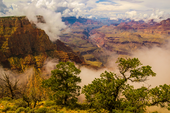 Grand Canyon National Park