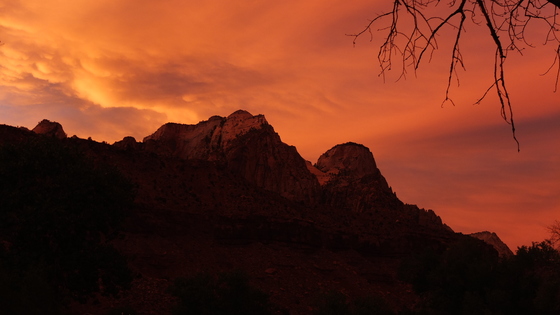 zion n ational park