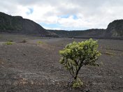 Hawai'i Volcanoes National Park