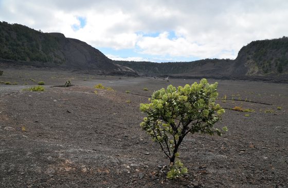 Hawai'i Volcanoes National Park