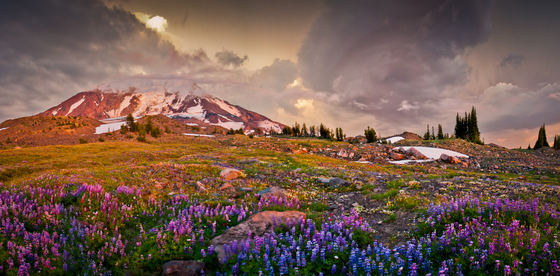Gifford Pinchot National Forest