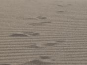 Great Sand Dunes