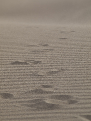 Great Sand Dunes