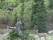 Glacier National Park