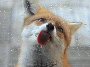 All my friends are a little wild