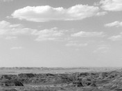 Petrified Forest National Park