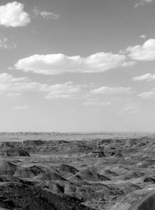 Petrified Forest National Park