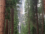 Yosemite National Park