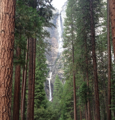 Yosemite National Park