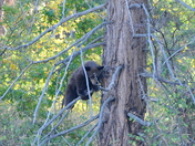Yosemite