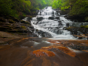 Chattahoochee National Forest