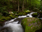 Great Smoky Mountain National Park